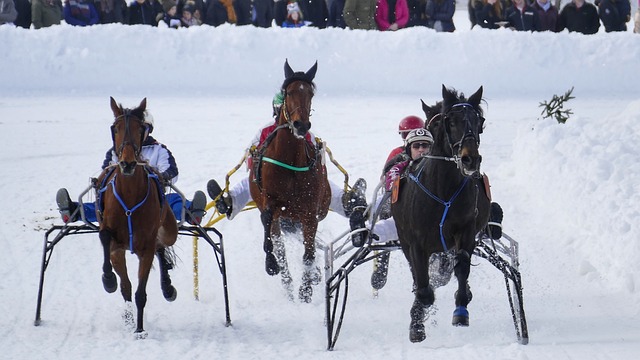 在乒乓球馆 在乒乓球馆