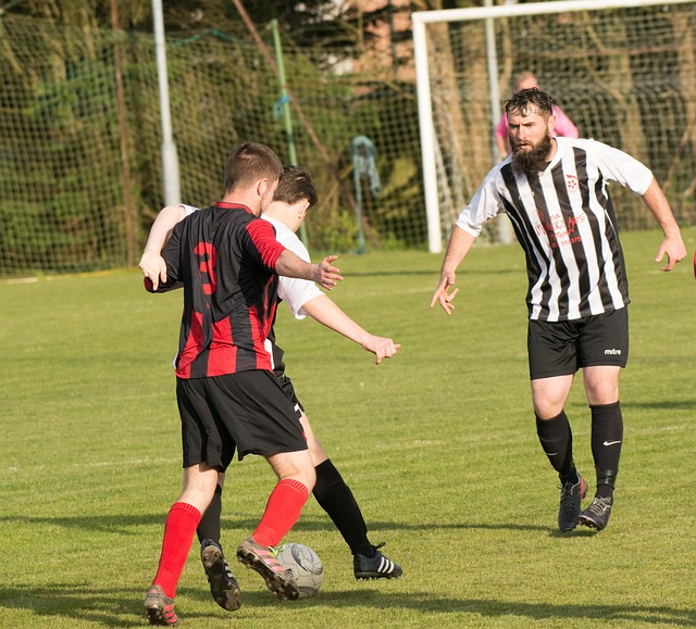 的比较似乎 的比较似乎