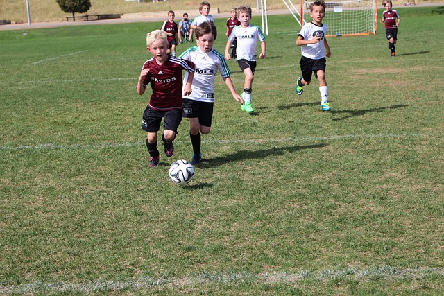 提供了一段 提供了一段