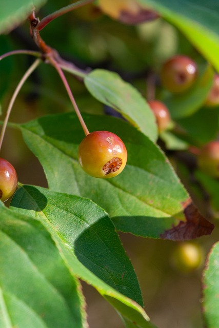 带来了深远 带来了深远