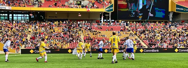 他们不仅提 他们不仅提